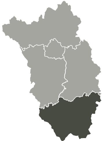 Piltown Electoral Area